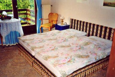 Pension Am Erlengrund - 1 Doppelzimmer mit Terasse
