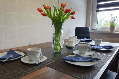 Ferienwohnung im Fehnland 35667 - Ferienwohnung im Fehnland