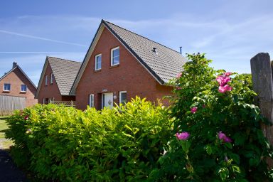 Müllerhus