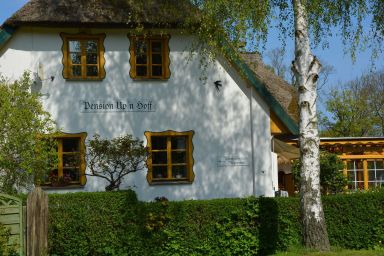 „Up’n Hoff“ - 3