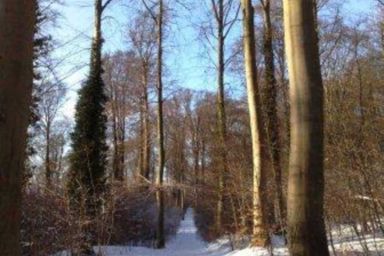 **300m zum Ostseestrand**Bj.06, Südterrasse/Balkon - Topas