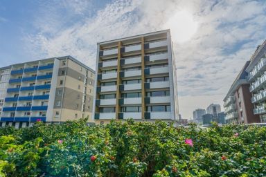 Beach-Dream - BeachDream