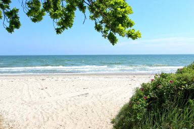 Rex Rugia - strandnahe FeWo mit Balkon, Schwimmbad- und Saunanutzung - Rex Rugia H-1010