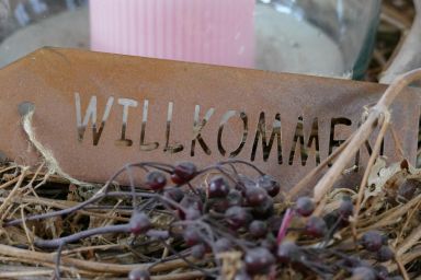 Haus Polzin - 2-Raum-Fewo 455/101