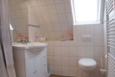 Silbermöwe - Silbermöwe .1