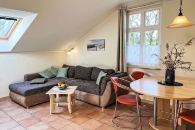 Buchfink - Zaunkönig .4