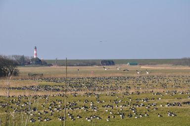 Ferienhaus Land und Meer - Ferienwohnung Meer