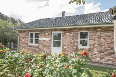 Moderne Doppelhaushälfte - perfekt zu zweit - DAG-891 - Ferienhaus Lütte Koje mit Terrasse und Kamin (HT)