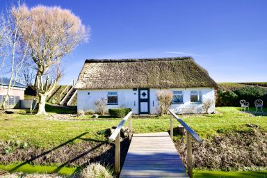 Reetdachhus Meduse - Meduse