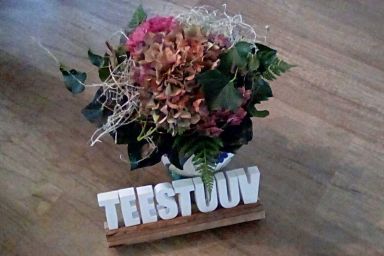 Ferienwohnung TEESTUUV, 55166 - Ferienwohnung TEESTUUV