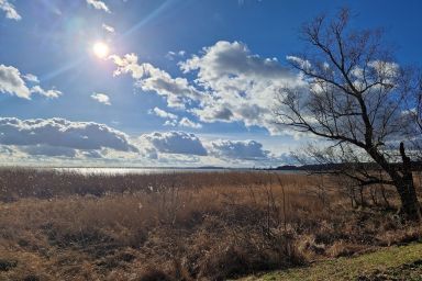 Ferienhaus Köhler am Walde, Urlaub mit Hund, Lütow