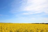 Landschaft