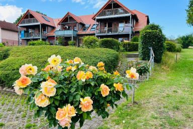 Ferienwohnung Alice mit Balkon und Meerblick - Ferienwohnung „Alice“ – Licht, Weite & Wasserblick auf die Insel Vilm