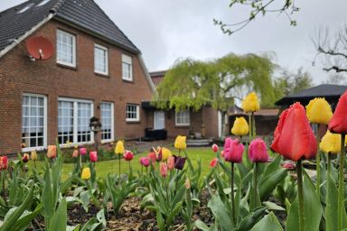 Ferienwohnung Buhne 2 Norddeich - Willkommen in unserer liebevoll renovierten Ferienwohnung Buhne 2 in Norddeich