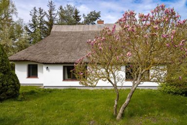 Landhaus Möhlend - Das idyllische Landhaus Möhlend auf Ummanz