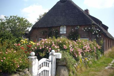 Studio für 4 Personen ca. 30 m² in Emmelsbüll, Norddeutschland (Nordseeküste Deutschland)