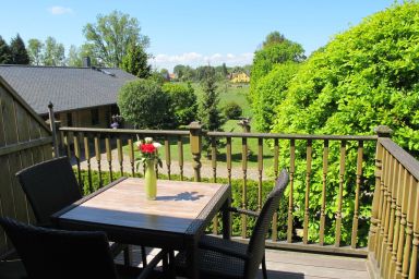 Lachmöwe - Lachmöwe .4