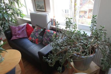 Ferienwohnung Johannis-Nest - Ferienwohnung Johannis Nest