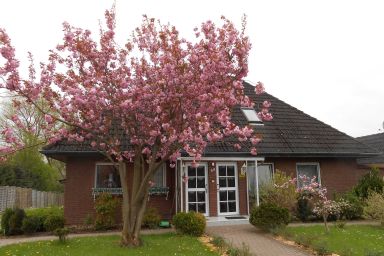 Sunhaus Koch - Ferienhaus