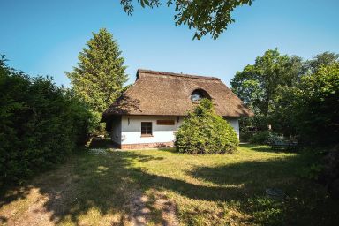 Reetdach Ferienhaus nahe Ostseebad Kühlungsborn - Reetdach Kastanienhaus (52m², 3-Raum, max 4 Pers.)