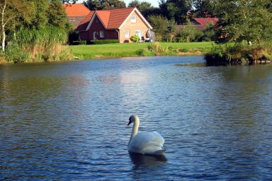 Ferienhof Am Birkensee 55125 - Schwalbenhaus