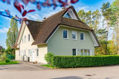 Ferienhaus Seegras