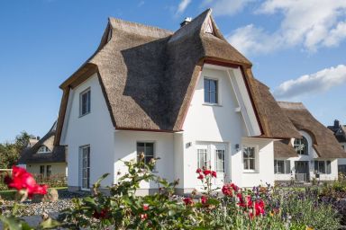 Ferienhaus Seeschwalbe 35 - Ferienhaus Seeschwalbe 35 - Der Natur ganz nah