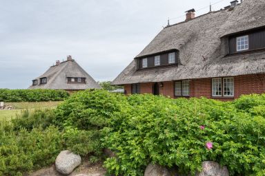 Heide Idyll - Gemütliche 3-Zimmer Ferienwohnung auf ca. 55 m² für 4 Personen.