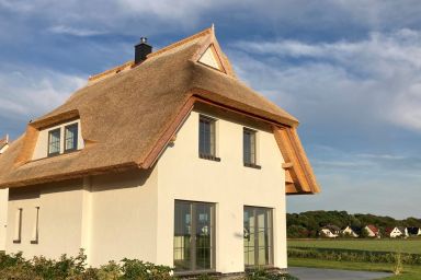 Ferienhaus "Distelfink" in Dranske / Lancken - Reetdach-Haus mit Boddenblick, Sauna und Kamin in Dranske