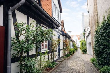 Katergang FeWo 1 - 40m² Fewo mit Wlan und Hund für 2 Personen