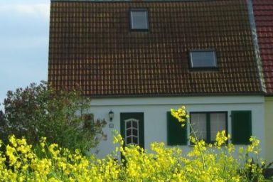 Gemütliche Ferienwohnung im Ferienhaus Luise