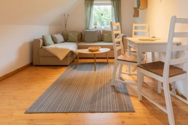 Lindenhof - Gänseblümchen