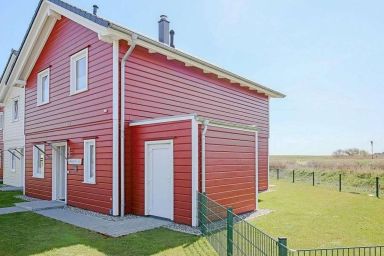 Silbermöwe - Nordspitze .5