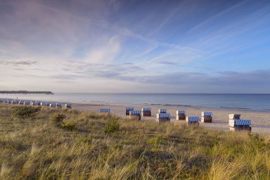 Strandhafer Whg. 4