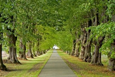 Barkley Reethaus
