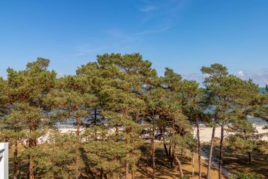 Villa Strandidyll Apartment 15, Meerblick - Apartment 15 / 1 - Raum - Fewo mit Meerblick, Strandkorb