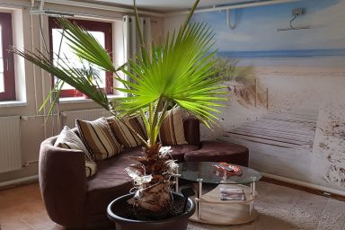 Fewo Schumacher *nur 800m vom Ostseestrand entfernt* - Ferienwohnung