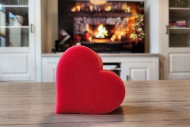 Ferienwohnungen Plaggenburg - Ferienwohnung Plaggenburg: Die kleine Große