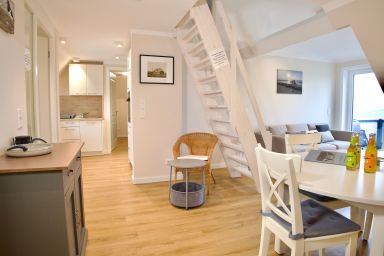 Ockenswarft - Austernfischer - Austernfischer