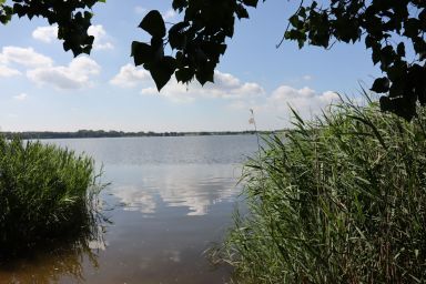 Ferienhaus Schlei-Wiese in Ulsnis mitten im Naturpark Schlei