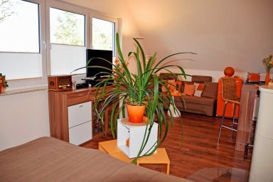 Gutshaus-Appartem. mit Kamin, Außenpool und tlw. Sauna***** - Ferienhaus Regenbogen mit Kamin und Terrasse