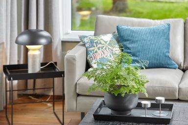 Ferienwohnung für 2 Personen Nr.1 Dünenck 6 - Ferienwohnung für 2 Personen Nr.1 Düneck 6