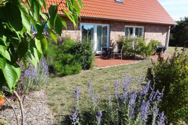 Ferienwohnungen Haß Haus 10 - Ferienwohnung Witten auf Fehmarn Haus 10