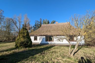 Idyllisches Reetdachhaus für Urlauber mit Hund
