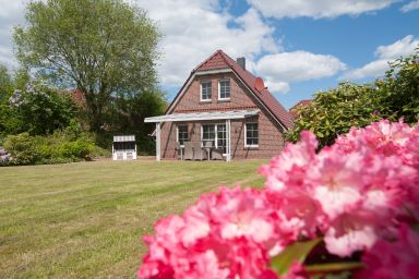 Ferienhaus Käpt n Tobi