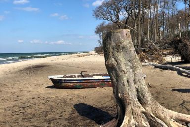 Ferienwohnung KWi 63 OG - Komfortable Ferienwohnung KWi 63 OG in Graal-Müritz am Waldrand mit WLAN