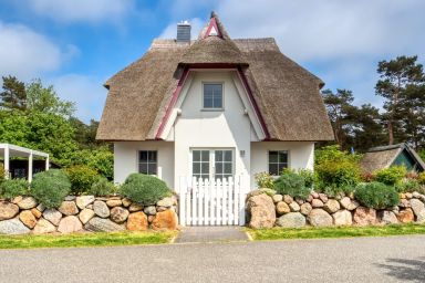 Ferienhaus Seeschwalbe 10 - Ferienhaus Seeschwalbe 10 - Der Natur ganz nah