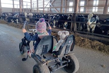 Ferienhof Landfrieden - E  Wattenlöper