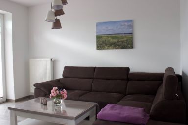 Strandflieder - Strandflieder .1