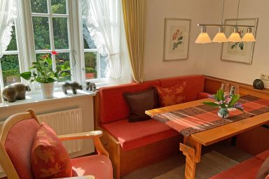 Reetdachhus an de Diek 19 - 1 Zim.-App. Möwe